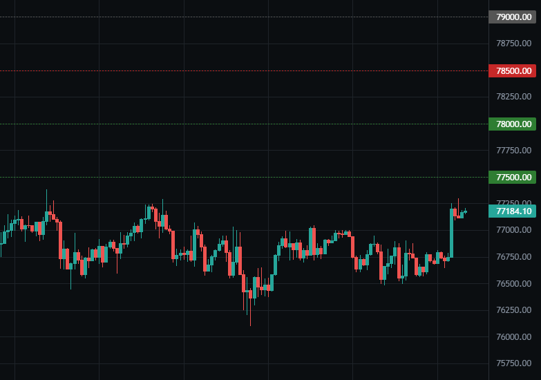 Options Levels (BTC)